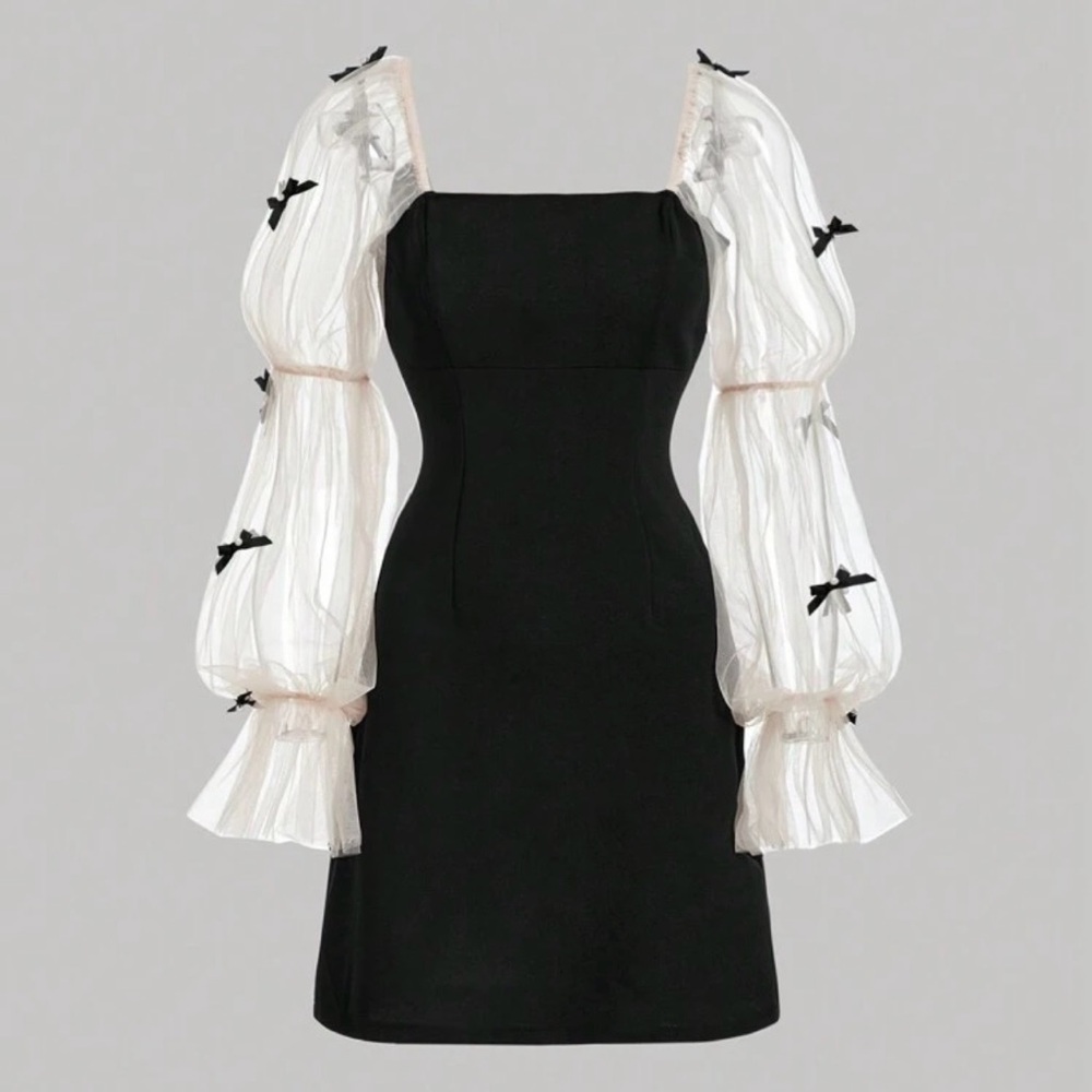 Black Dress with Sheer White Sleeves